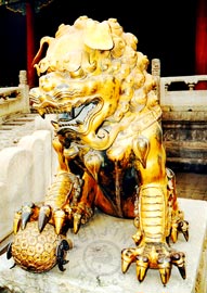 Beijing Forbidden City - Bronze Lion in front of the Gate of Heavenly Purity